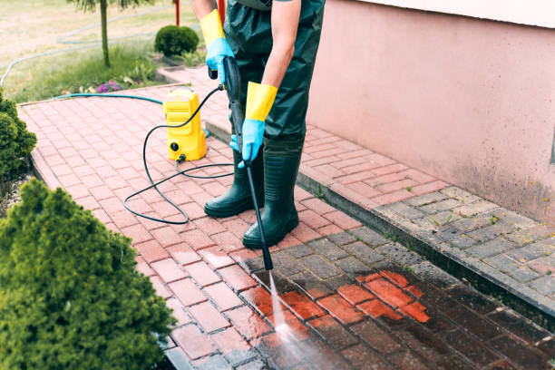 Professional Pressure Washing Services in Shannondale, WV